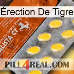 Érection De Tigre 42